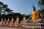 Ayutthaya, Thailand. Wat Yai Chai Mongkhon, saffron-draped Buddha statues inside the temple compound.